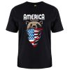 American Bear Flag