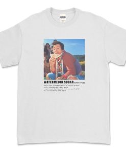 Harry Styles Watermelon Sugar Lyrics T-Shirt