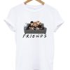 Harry Potter Ron And Hermione Friends T-Shirt